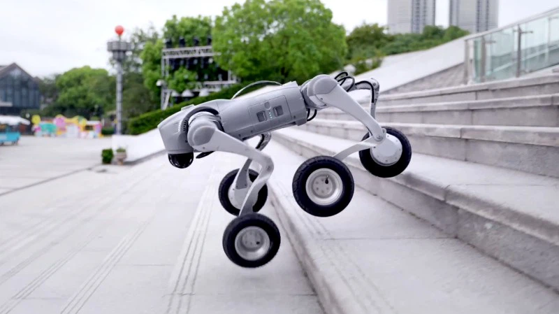 Quadruped Robot CD Go2-W Quadruped Robot CD Go2-W