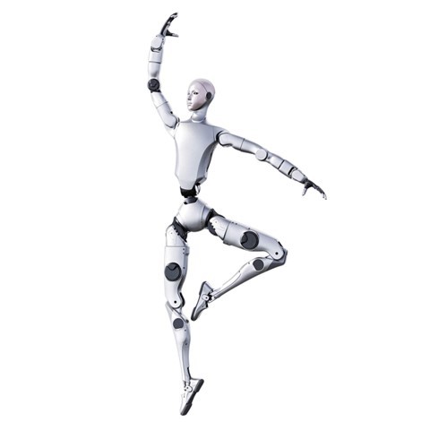 Humanoid Robot CD-H2