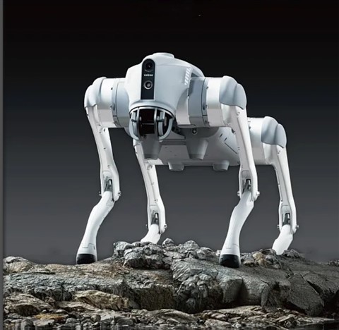 Quadruped Robot CD-Go2